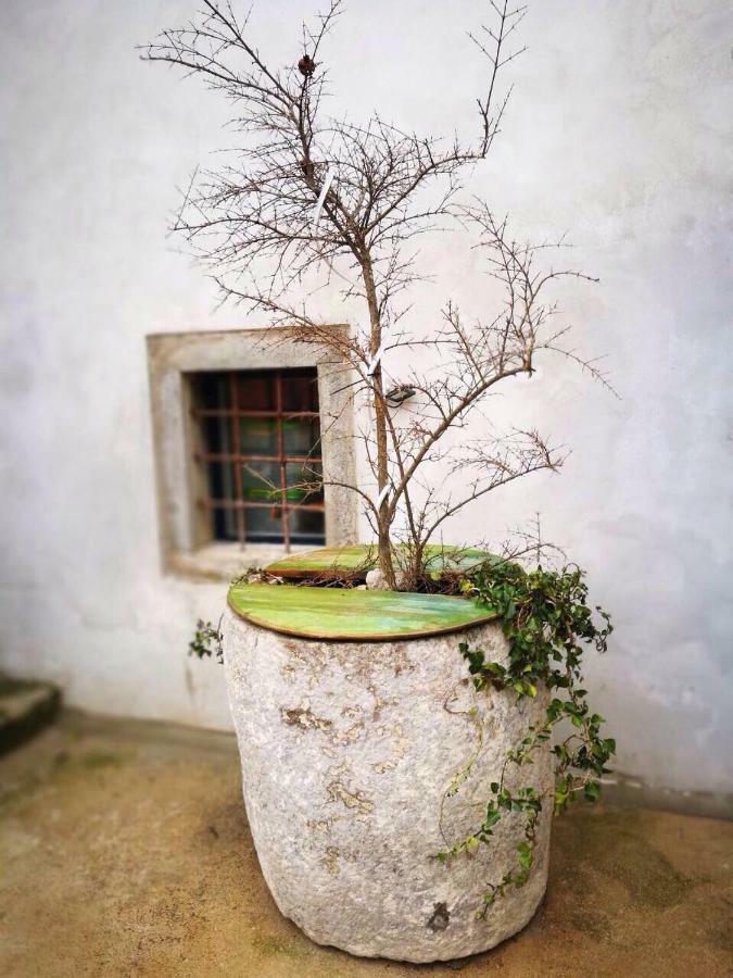 Cres Art Studio Lime Apartment Εξωτερικό φωτογραφία